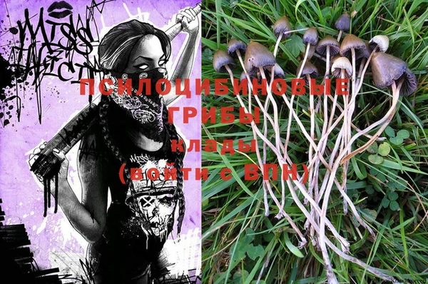 скорость Гатчина