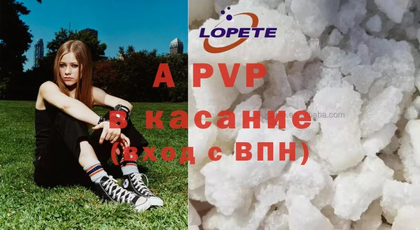 стаф Белоозёрский