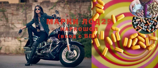 гашик Гвардейск